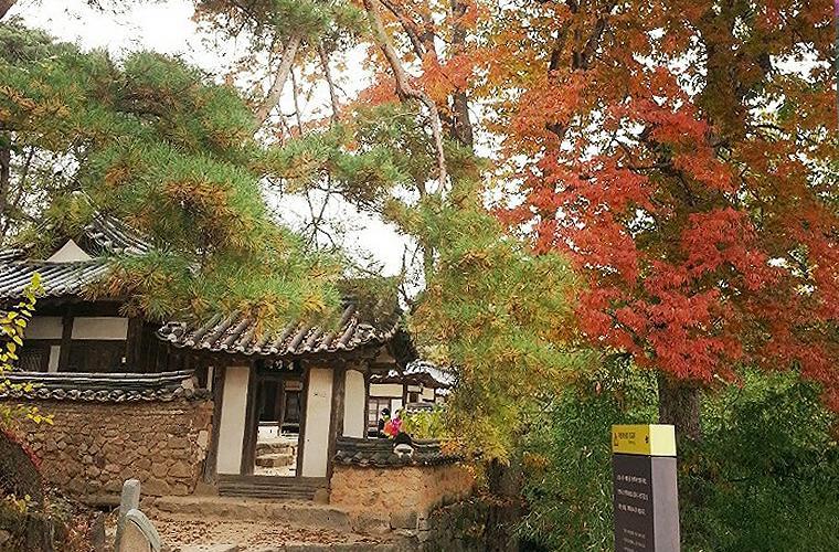 Bed and Breakfast Okyeon Jeongsa Andong Exterior foto