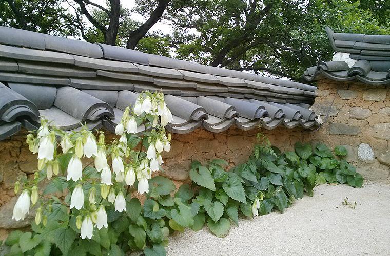 Bed and Breakfast Okyeon Jeongsa Andong Exterior foto