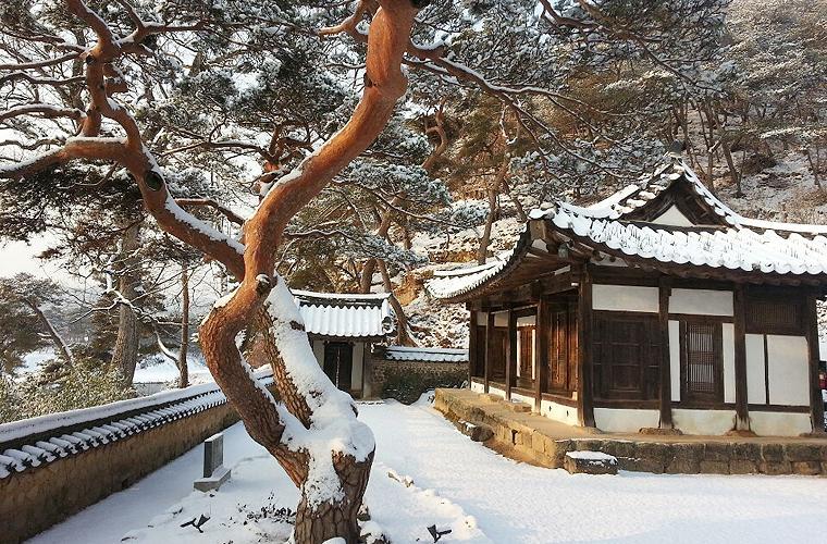 Bed and Breakfast Okyeon Jeongsa Andong Exterior foto