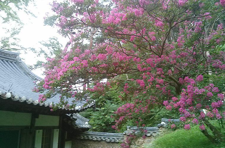 Bed and Breakfast Okyeon Jeongsa Andong Exterior foto