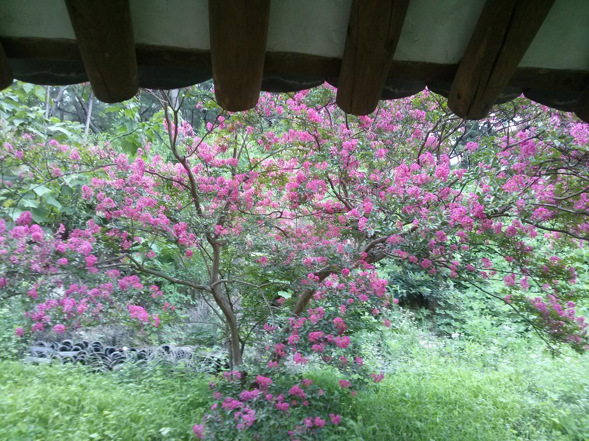Bed and Breakfast Okyeon Jeongsa Andong Exterior foto