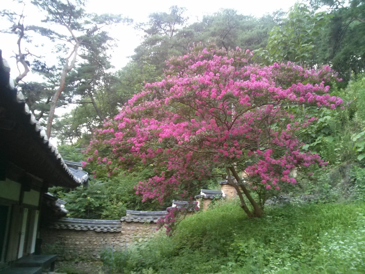 Bed and Breakfast Okyeon Jeongsa Andong Exterior foto